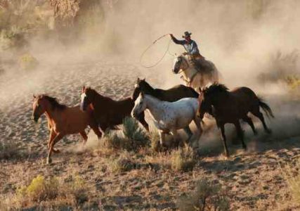 Field Guide to Farmers and Ranchers Image